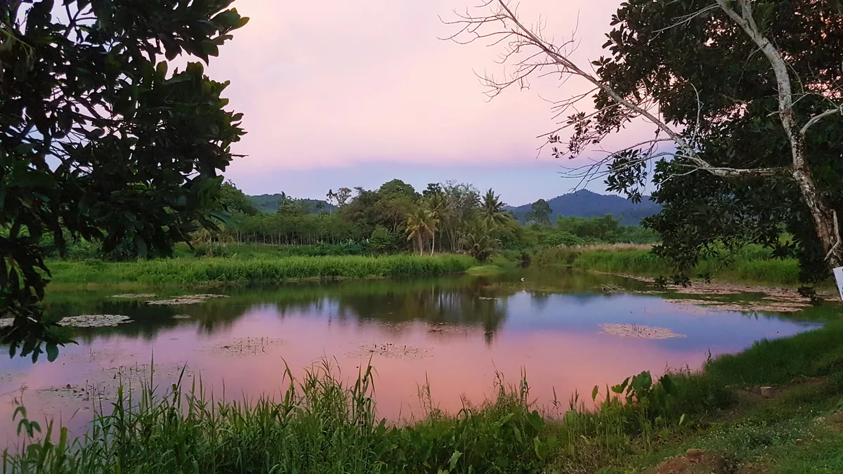 Landschap bij Khao Lak in de avondschemering.