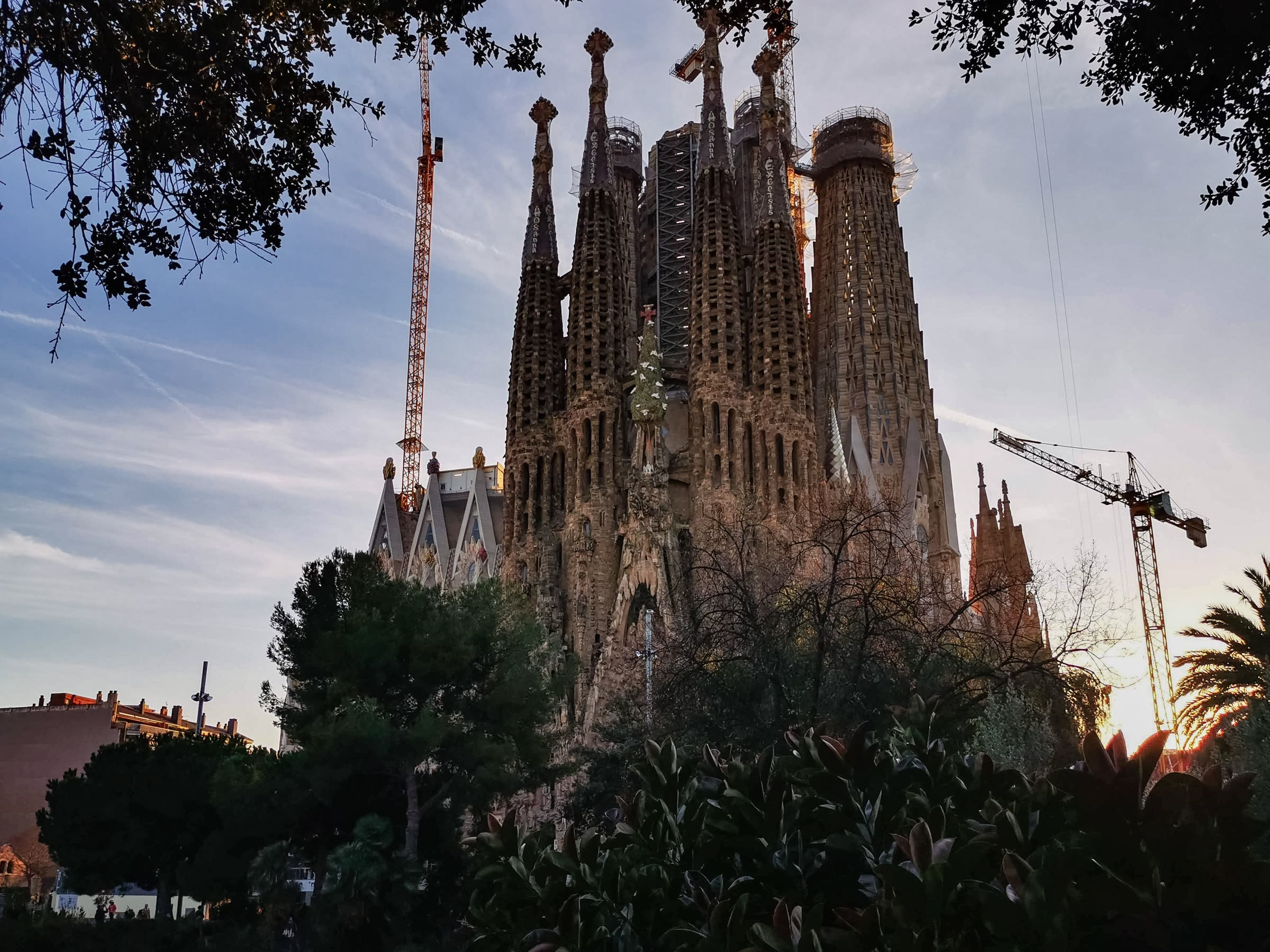 De Sagrada Família bij zonsondergang, met bomen en bouwkranen rond de torens in Barcelona.