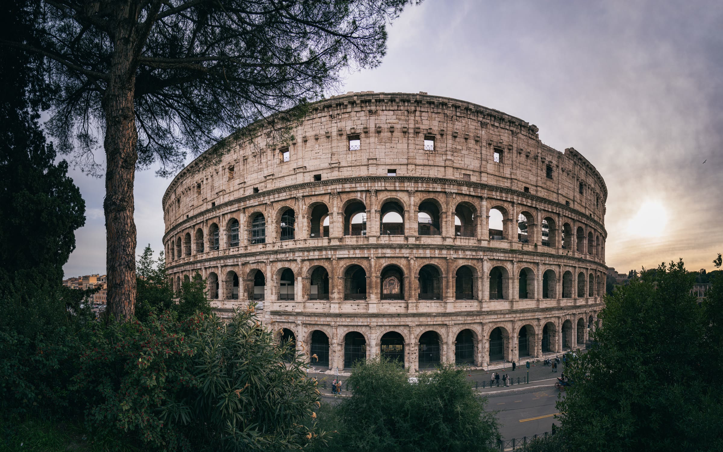 Het Colosseum gezien vanaf een heuvel met pijnbomen op de voorgrond in Rome.