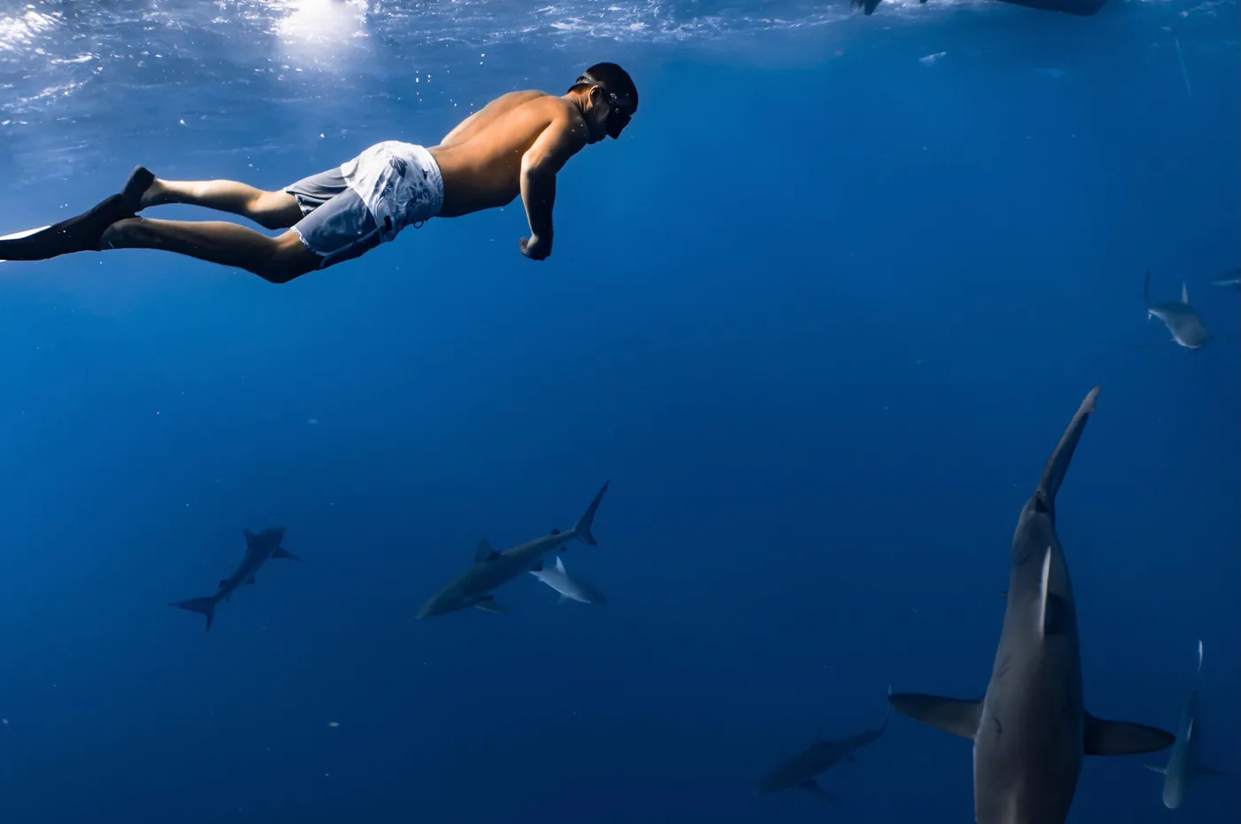 Rij witte bedoeïenententen op een rustig zandstrand aan zee bij Marsa Alam
