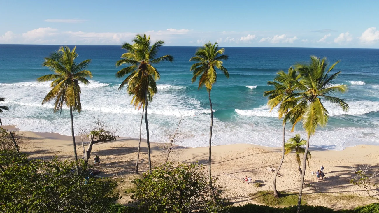 Palmbomen aan een strand met golvende zee in de Dominicaanse Republiek