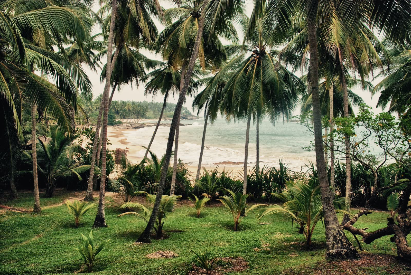 Palmbomen omlijsten een verlaten baai — verte en ontdekking voor een verre reis