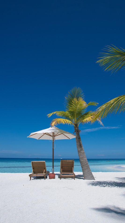 Twee ligstoelen onder een palmboom aan een wit strand met turkoois water.