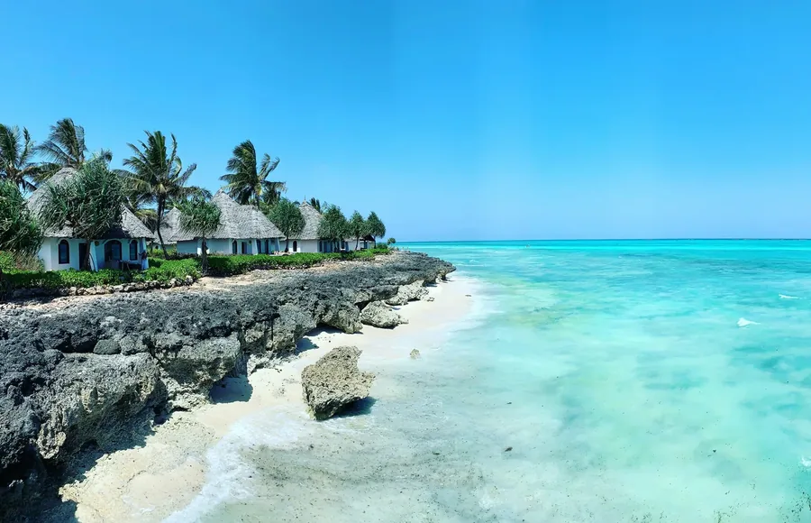 Rieten strandhuisjes tussen palmbomen op een koraalkust.