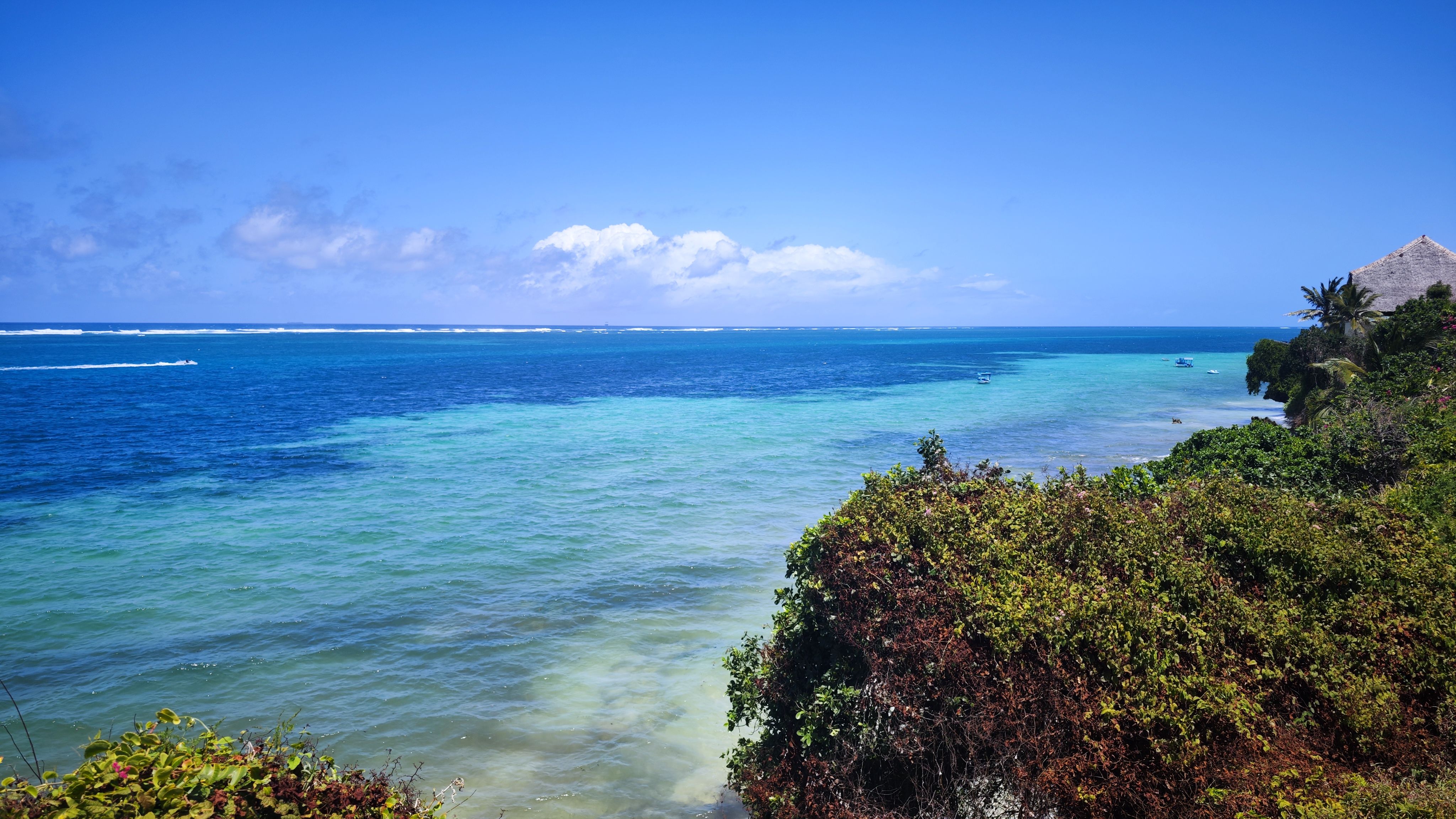 Uitzicht vanaf een begroeide kustklif over turquoise water en een koraalrif aan de Keniaanse kust
