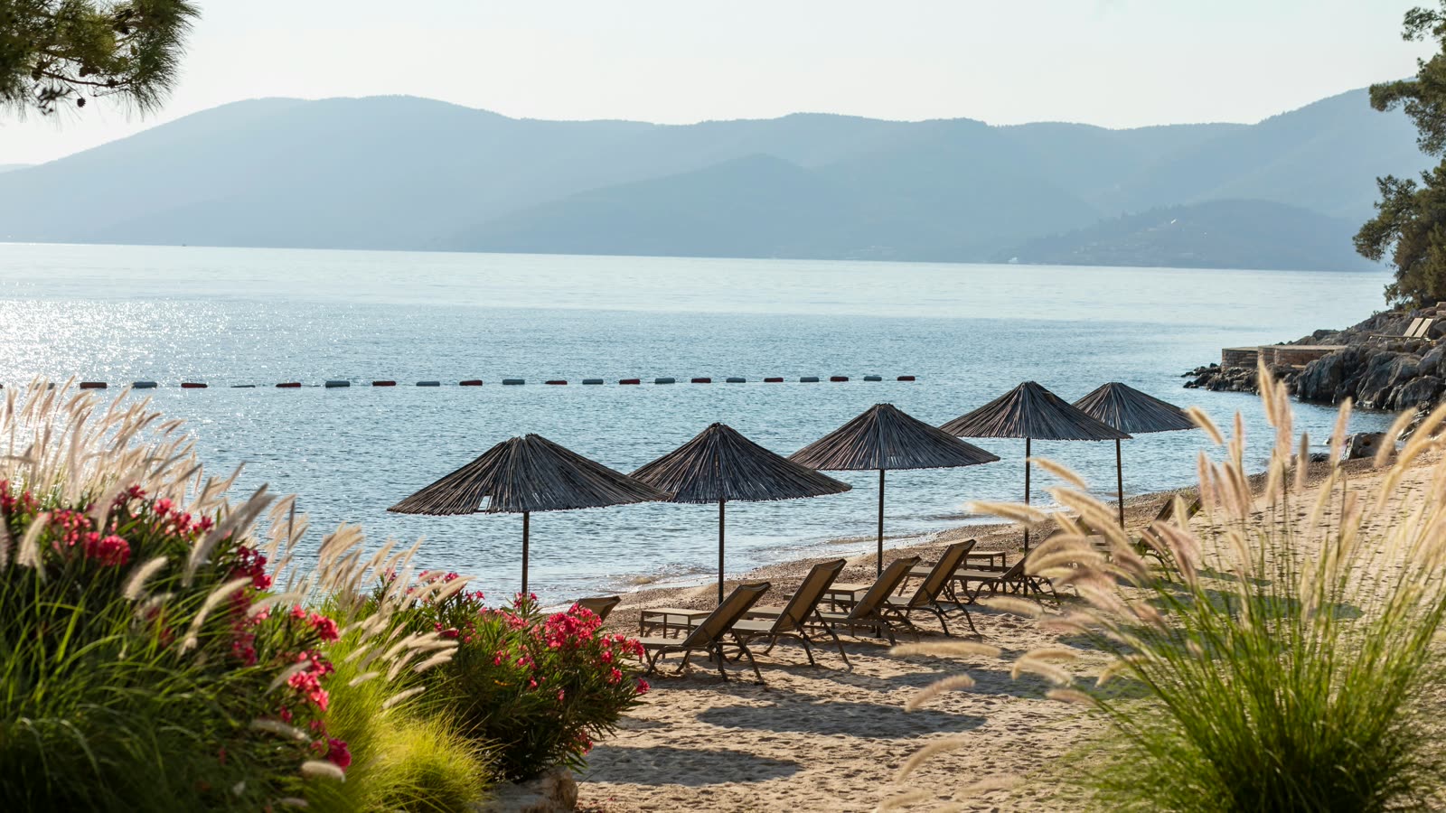 Witte bebouwing tegen een heuvel boven een baai in Bodrum