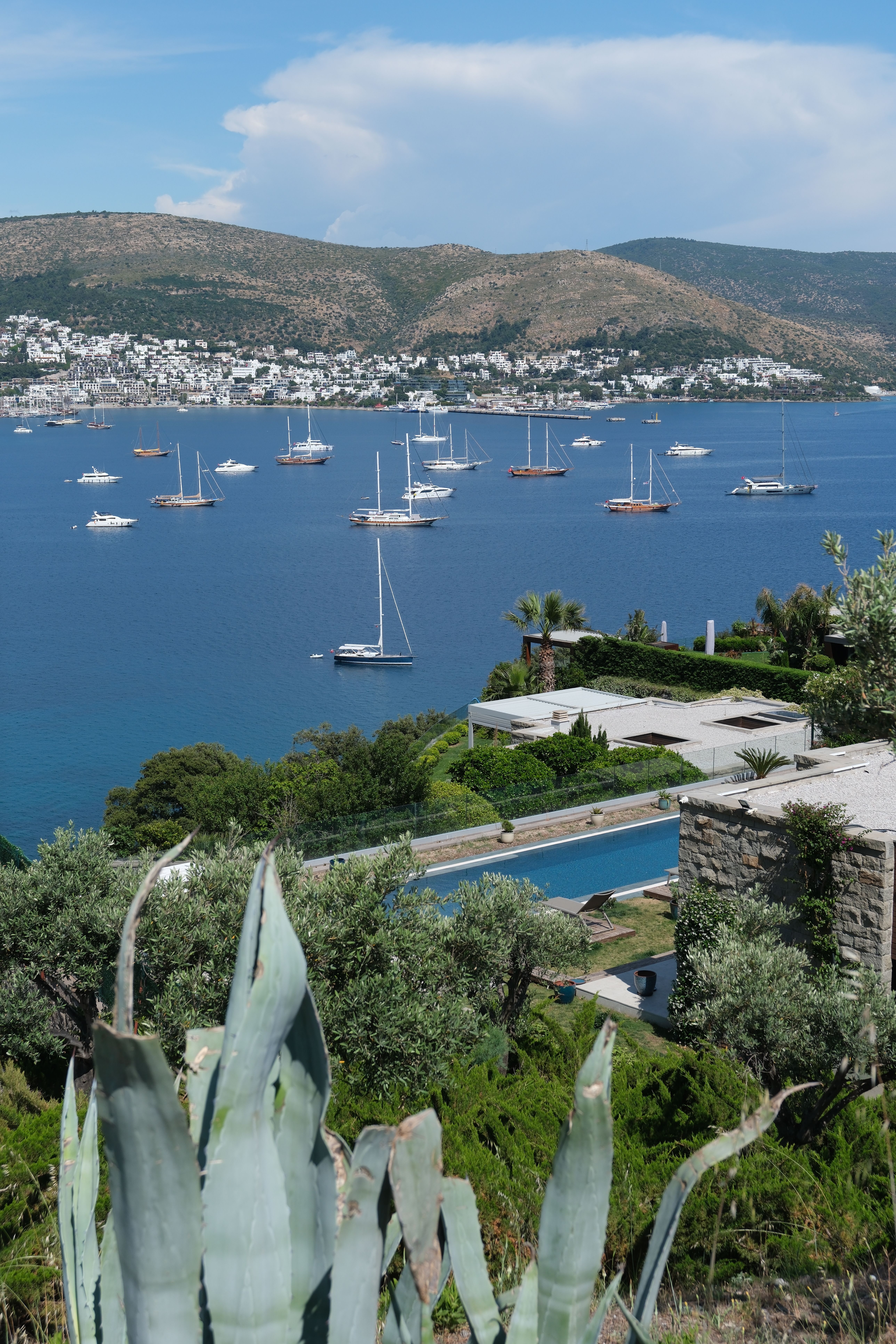 Uitzicht op een Turkse baai met jachten, vanaf een terras met olijfbomen