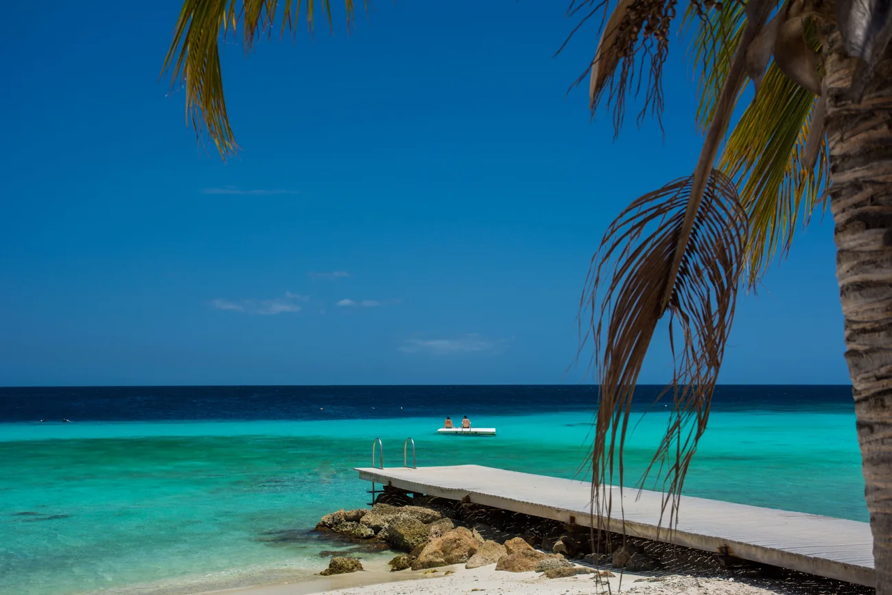 Steiger met palmboom aan een turquoise baai op Curaçao.