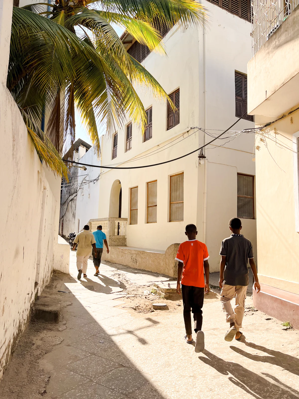 Smalle straat in Stone Town met een overhangende palmboom, witte gebouwen met houten luiken en voorbijgangers
